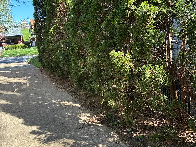 144 Pennsylvania Ave — Photo 10
