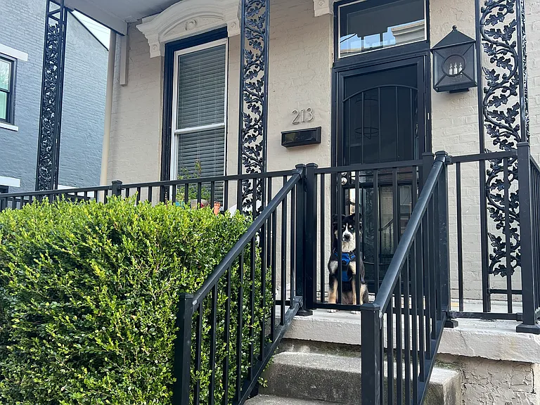 213 E 3rd St — Photo 1