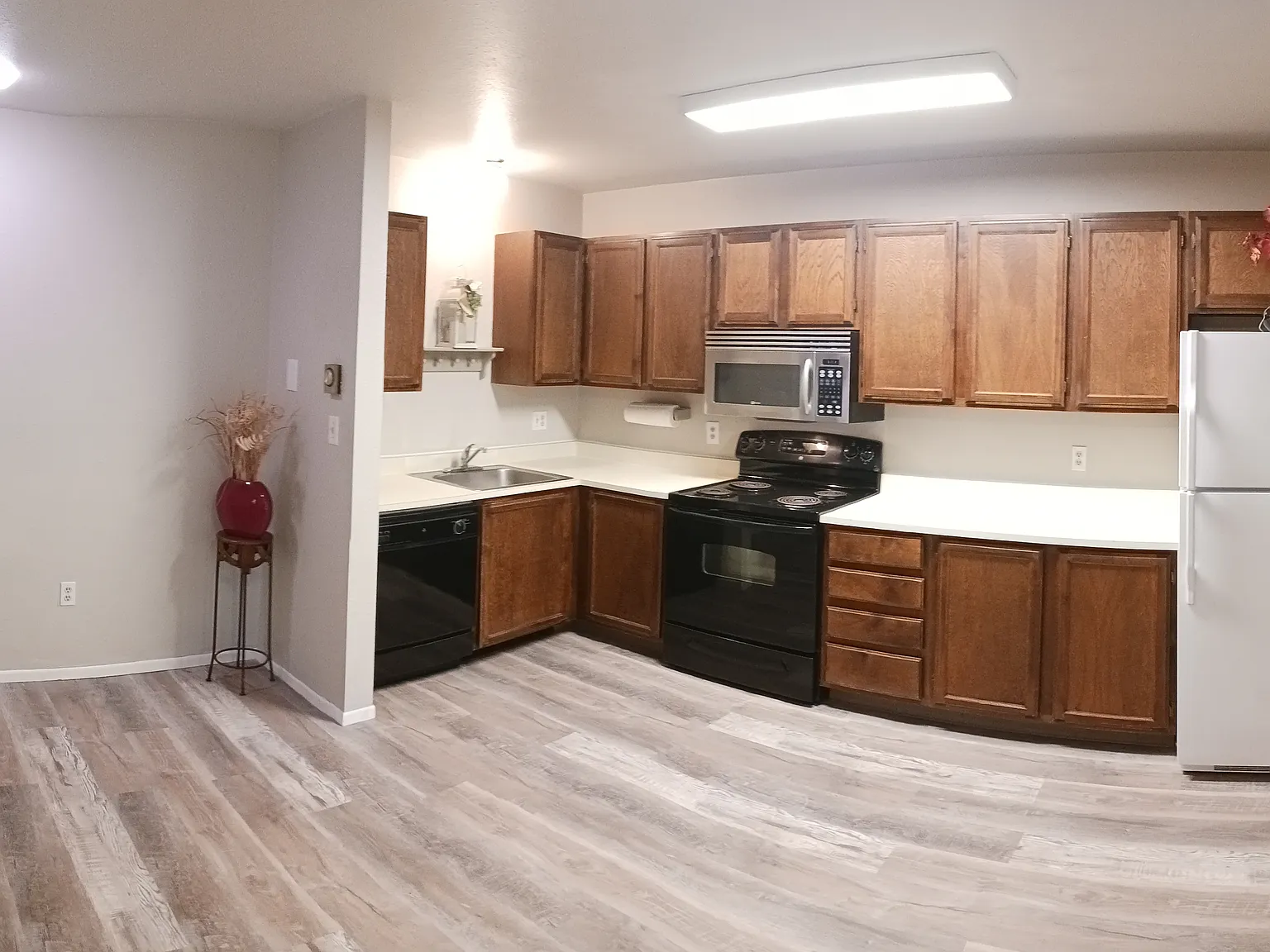 3500 Rolling Green Dr — Photo 4
