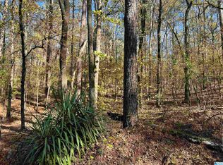 299 Mountain Lake Rd #1, Warrior, AL 35180