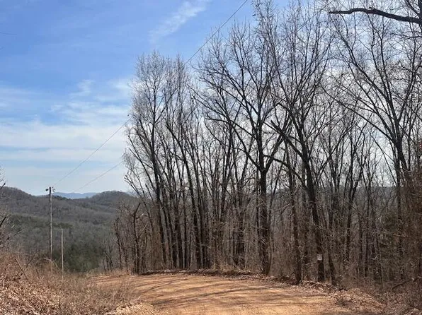 Tbd County Road 220, Eureka Springs, AR 72632