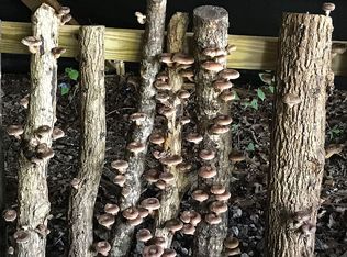 2045 Henderson Mountain Rd, Jasper, GA 30143