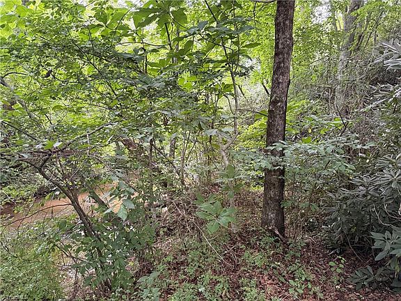 4th image of 0 Bryant Rd