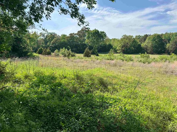 0 N Fm 312, Winnsboro, TX 75494