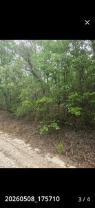 Leonard Ln, North Augusta, SC, 29860