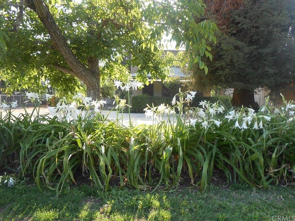1st image of 35391 Yucaipa Blvd