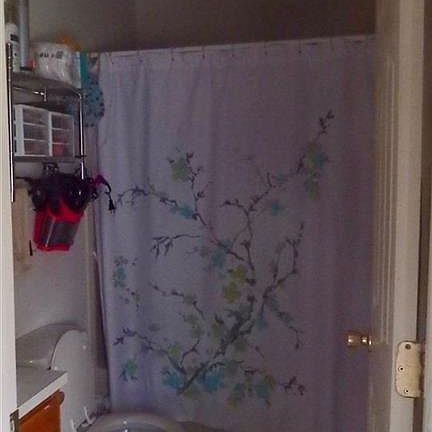 5th image of 509 Woodhaven St NE