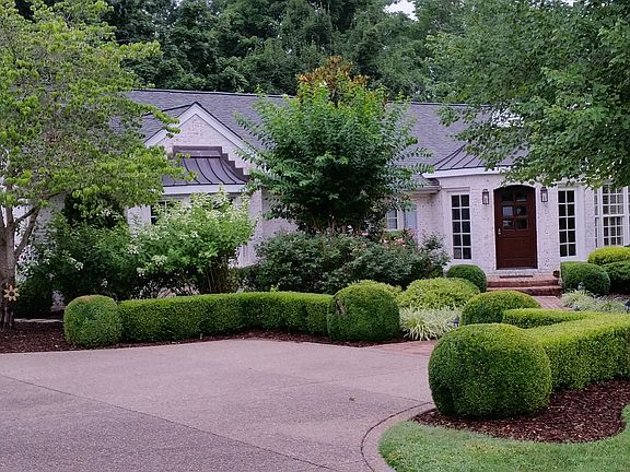Front View Spring