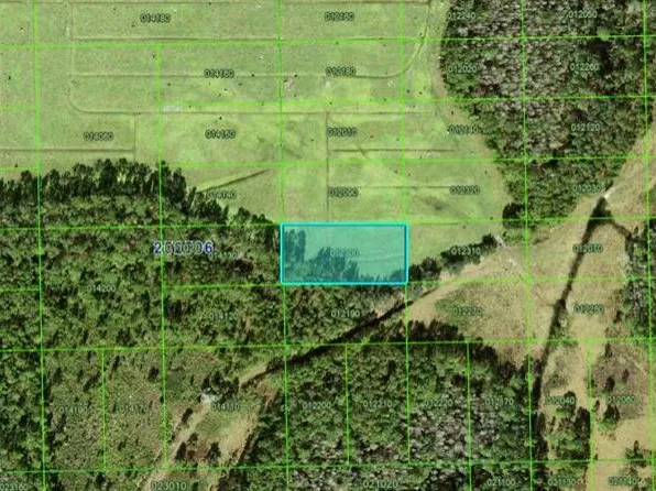 N Commonwealth Ave N #205, Polk City, FL 33868