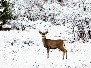 1311 View Rd, Pagosa Springs, CO 81147