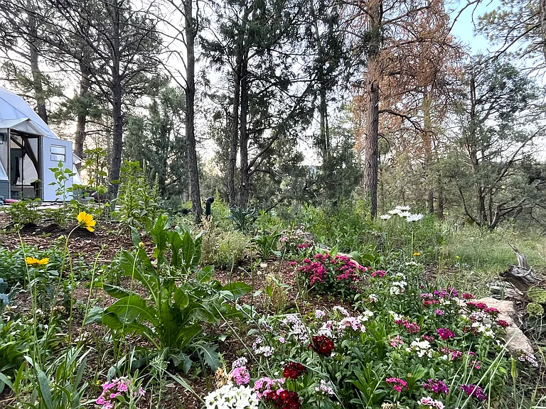 Wildflowers and perennials surround the house.