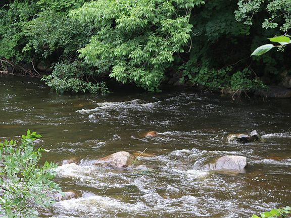 view from the master