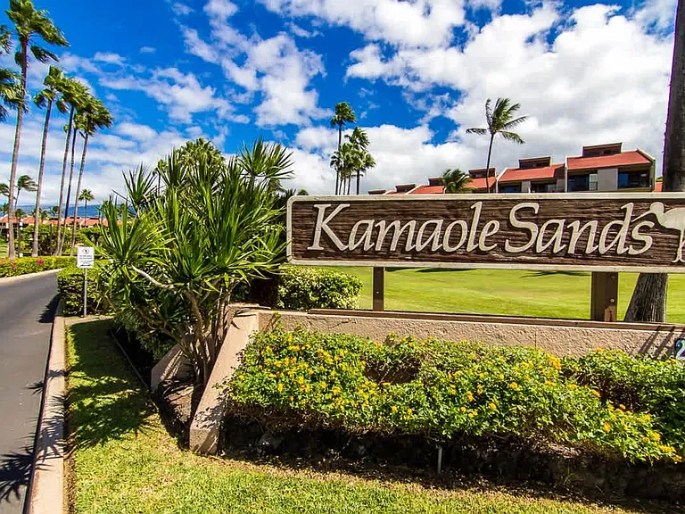 2695 S Kihei Rd #ID1295784P — Photo 34