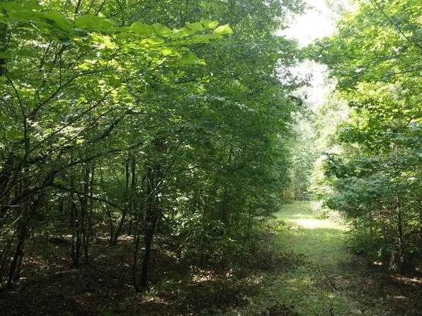 Markerville Rd, Story, AR 71970