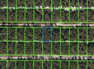 621 Parakeet Ave, Sebring, FL 33872