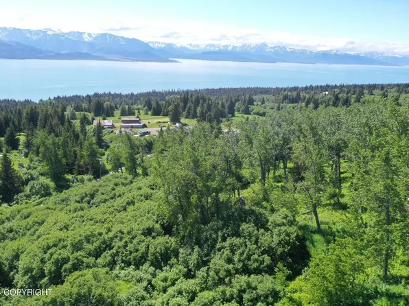 35887 Cloverdale Cir, Homer, AK 99603