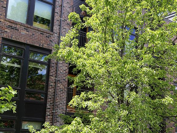 2nd image of 165 N 4th Ave #165