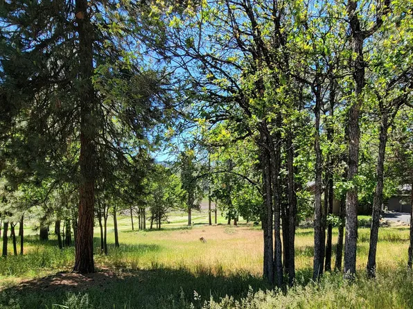 0 Merganser Rd Lot 69, Klamath Falls, OR 97601