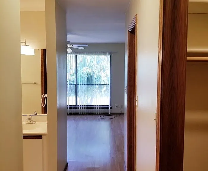5401 Palm Valley Dr N — Photo 6