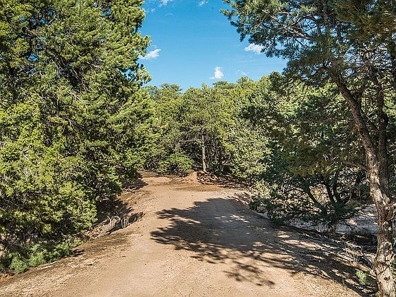 4th image of 31 Sangre De Cristo Dr
