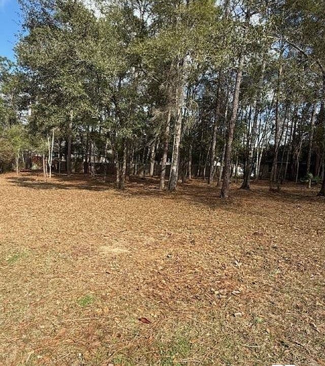 1st image of Bunker Loop