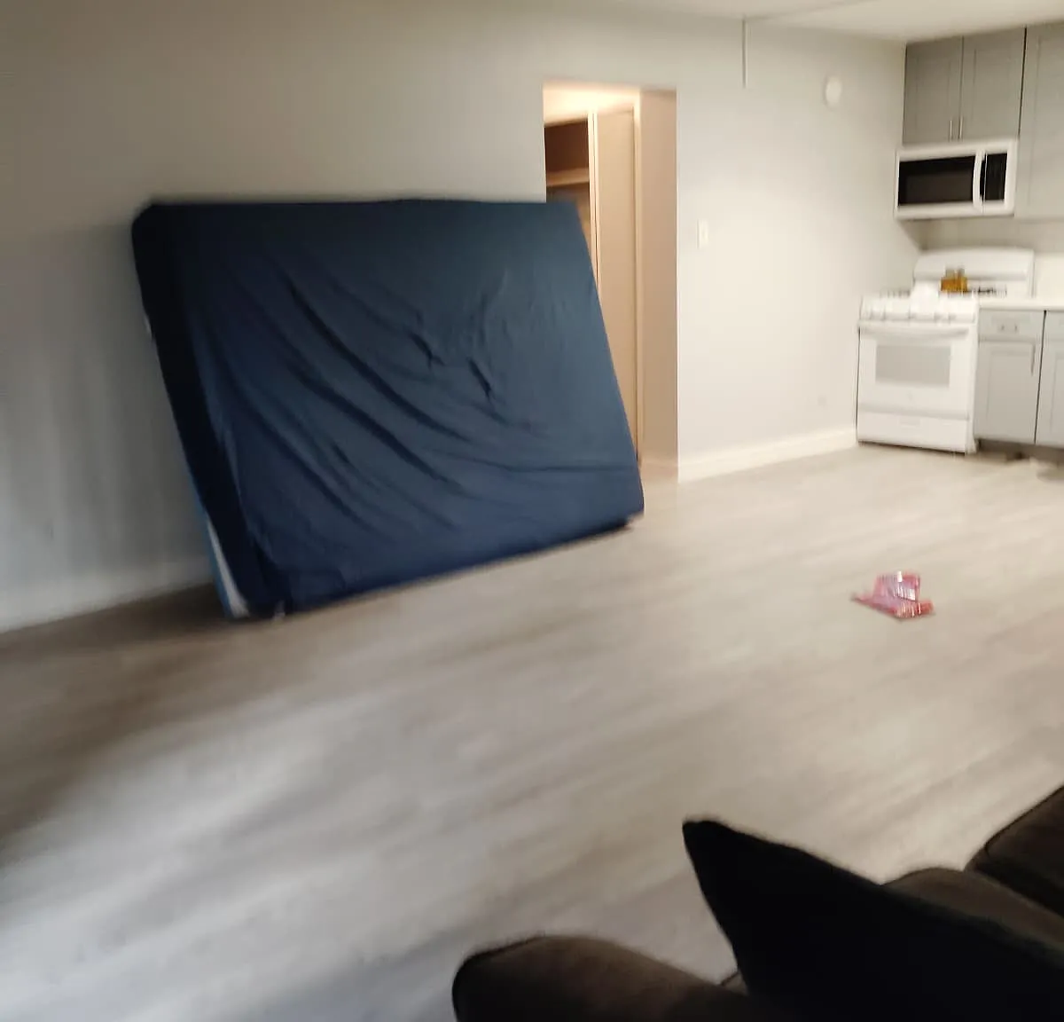1 bed, $1,100 — Photo 3