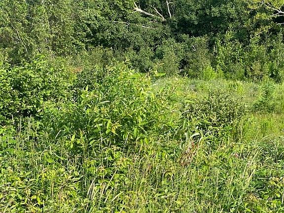 4th image of 1916 Byrnes Rd
