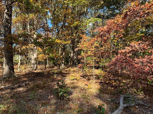 6 Buffalo Trl, Fairfield, PA 17320