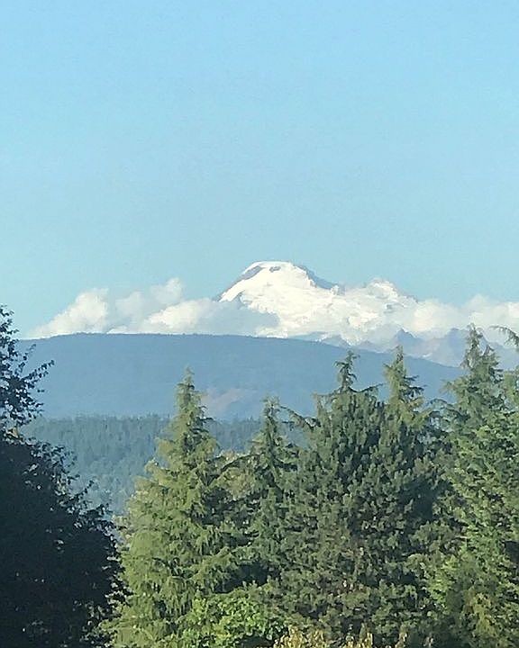Mount Baker from Living Room