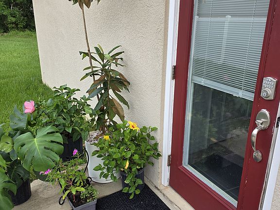3rd image of 61 Belleaire Dr #B