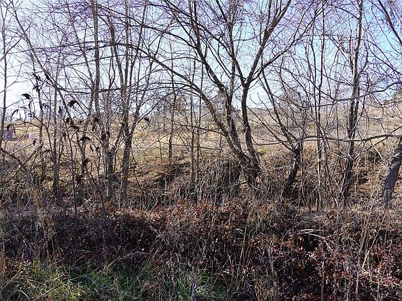 3rd image of 16905 Meadow Lake Cir