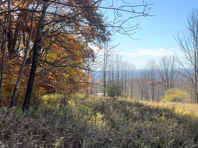 Chaffee Road, Liberty, NY, 12754
