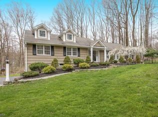 3 Burnett Dr, Chester, NJ 07930