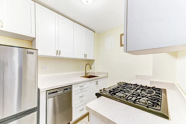 Rented by Engel & Völkers New York City | media 7