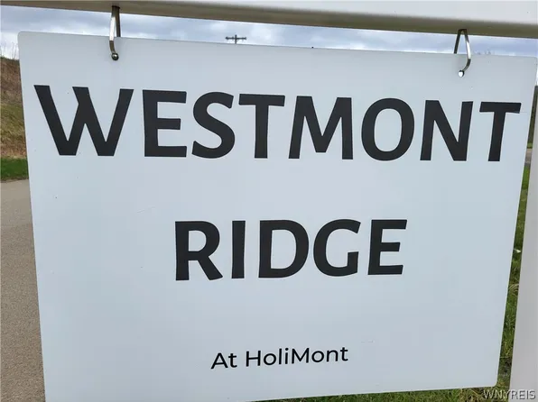 LOT 14 Corduroy Run, Ellicottville, NY 14731