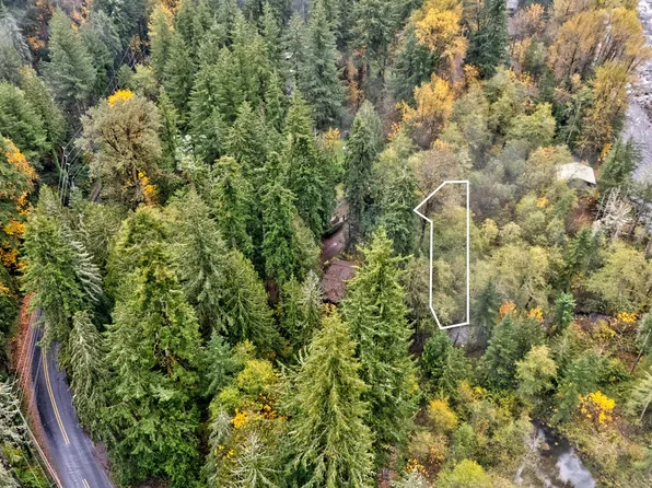 0 E Donny Dell Ln, Rhododendron, OR 97049