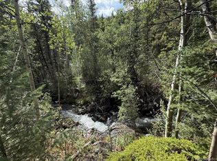 2 Fall River Rd, Idaho Springs, CO 80452