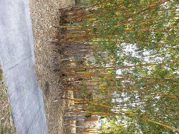 2nd image of 5554 5th Ave N