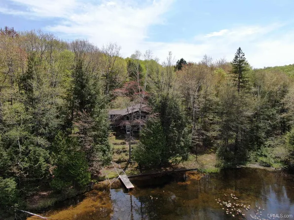1605 Engman Lake Rd, Skandia, MI 49885