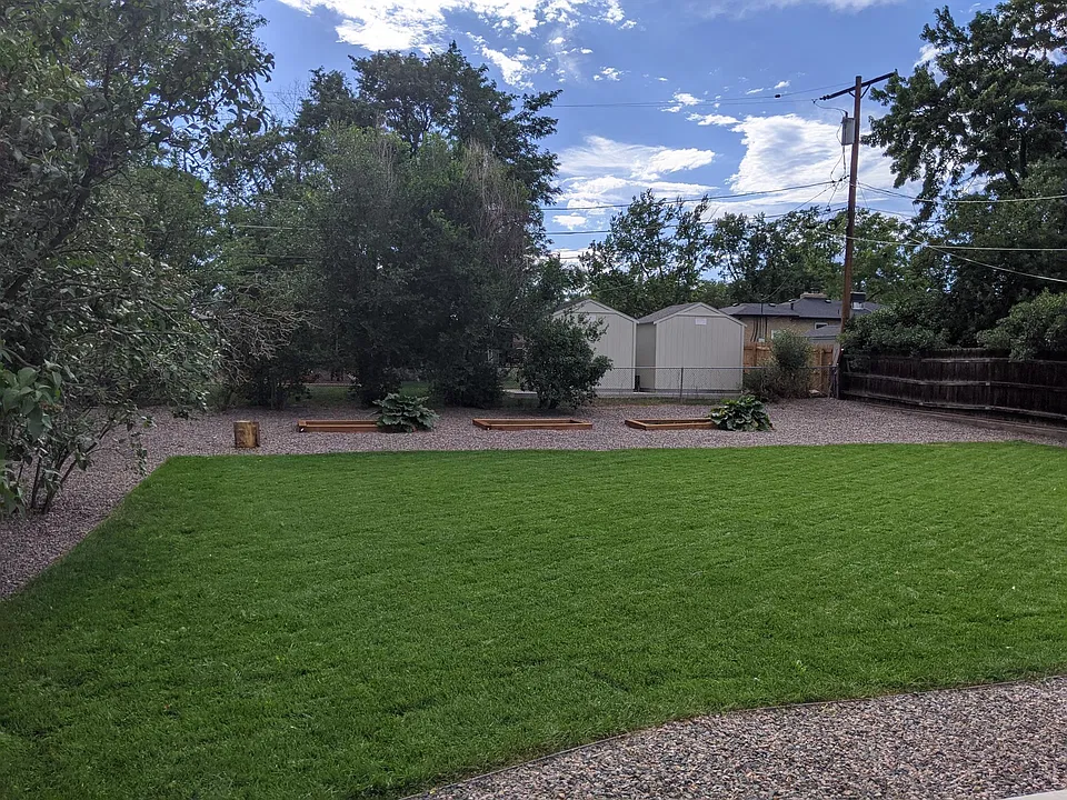 Backyard
