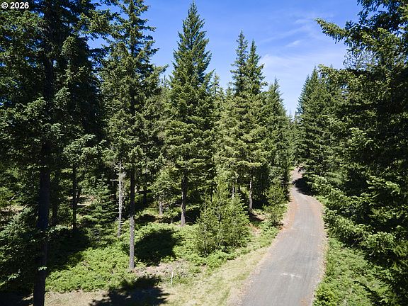 4th image of Loowit Ln