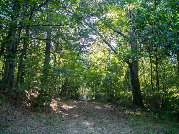 Old Highway 61 & Floyd Rd, Pt Gibson, MS 39150