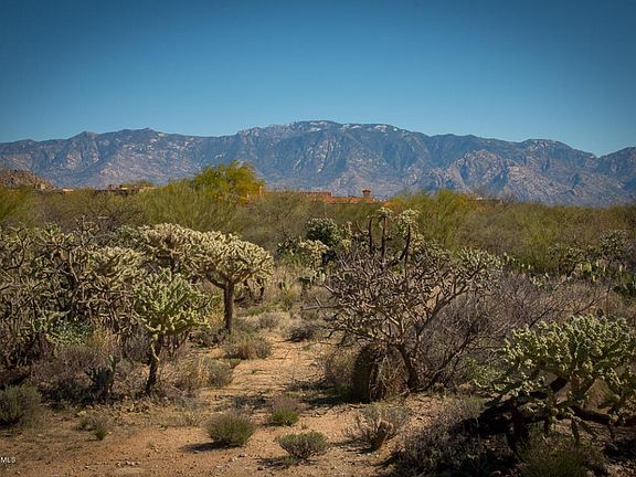 3rd image of 892 W Tortolita Mountain Cir