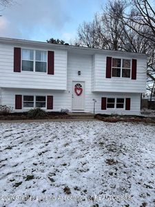 337 E 2nd St, Morrice, MI, 48857