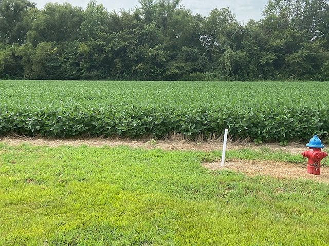 2nd image of 18 Timber Creek Rd
