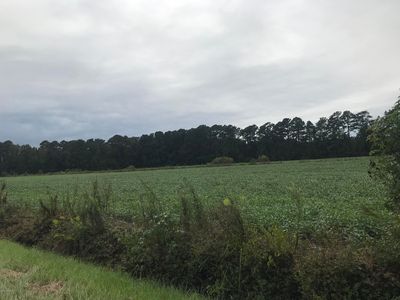 0000 Hwy #41, Wallace, NC, 28466