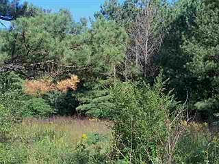 1st image of PARCEL 67 Harris Creek Trl SW