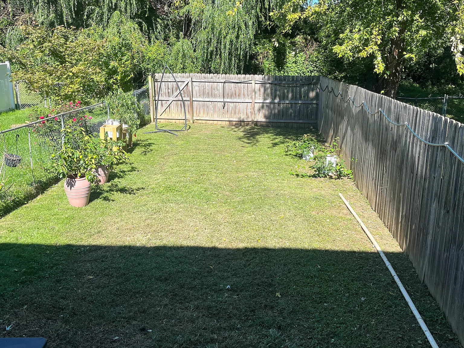 2 bed, 1.5 bath, 1200 sqft, $1,900 — Photo 2