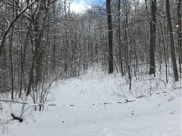 4450 Harvey Rd, Rushville, NY 14544