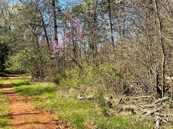 Old Charleston Rd, Mc Cormick, SC 29835